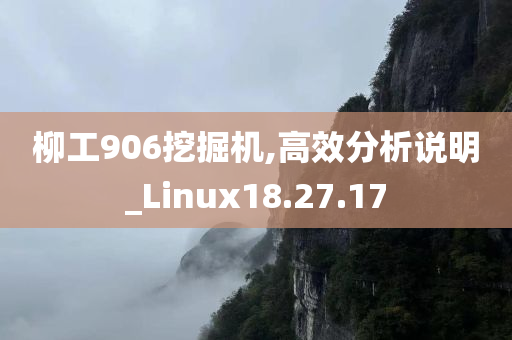 柳工906挖掘机,高效分析说明_Linux18.27.17