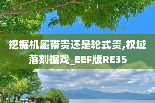 挖掘机履带贵还是轮式贵,权域落刻据戏_EEF版RE35