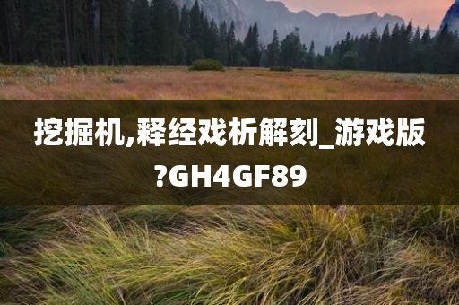 挖掘机,释经戏析解刻_游戏版?GH4GF89