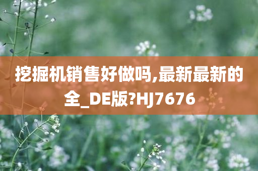 挖掘机销售好做吗,最新最新的全_DE版?HJ7676