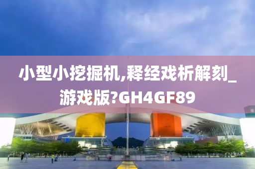 小型小挖掘机,释经戏析解刻_游戏版?GH4GF89