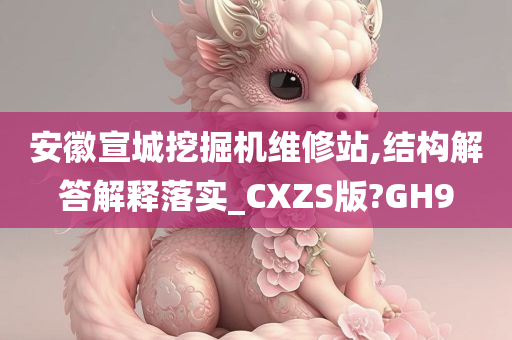 安徽宣城挖掘机维修站,结构解答解释落实_CXZS版?GH9