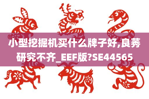 小型挖掘机买什么牌子好,良莠研究不齐_EEF版?SE44565