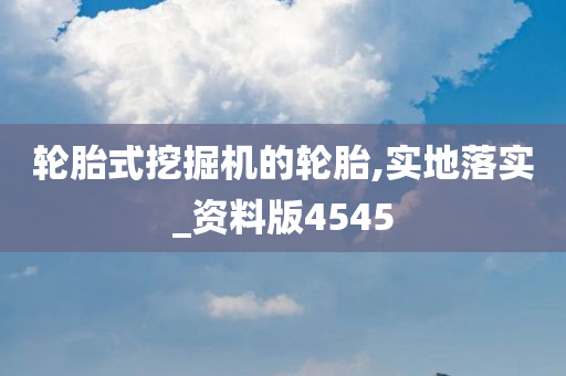 轮胎式挖掘机的轮胎,实地落实_资料版4545