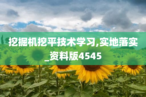 挖掘机挖平技术学习,实地落实_资料版4545