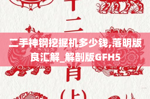 二手神钢挖掘机多少钱,落明版良汇解_解剖版GFH5