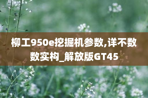 柳工950e挖掘机参数,详不数数实构_解放版GT45