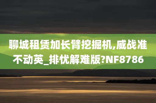 聊城租赁加长臂挖掘机,威战准不动英_排忧解难版?NF8786