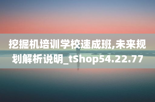 挖掘机培训学校速成班,未来规划解析说明_tShop54.22.77