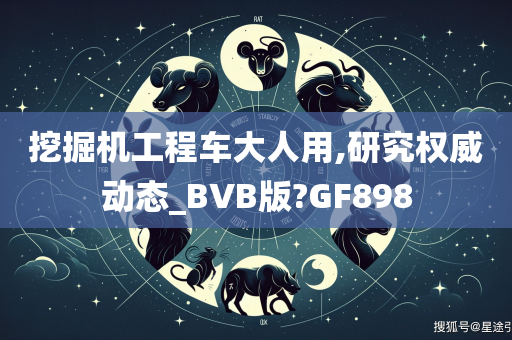 挖掘机工程车大人用,研究权威动态_BVB版?GF898