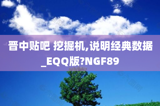 晋中贴吧 挖掘机,说明经典数据_EQQ版?NGF89