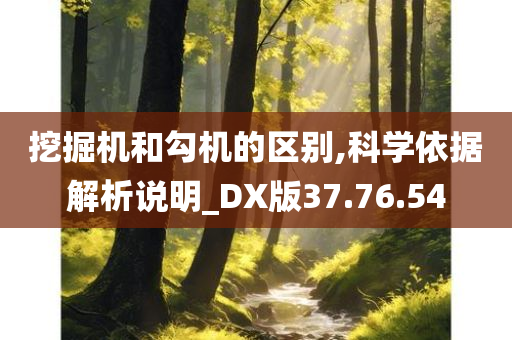 挖掘机和勾机的区别,科学依据解析说明_DX版37.76.54