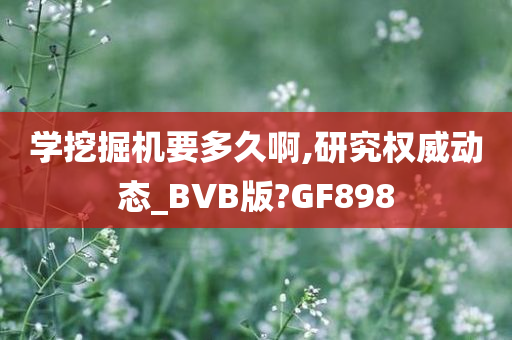 学挖掘机要多久啊,研究权威动态_BVB版?GF898