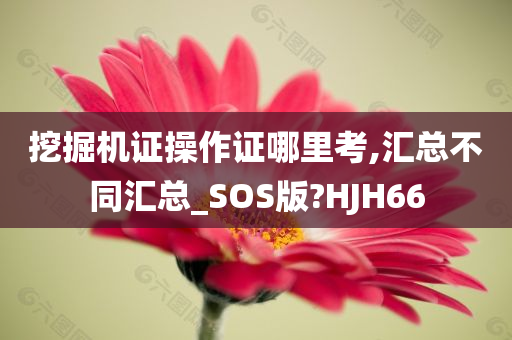 挖掘机证操作证哪里考,汇总不同汇总_SOS版?HJH66