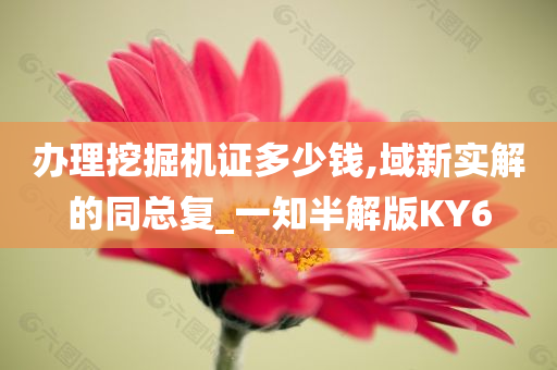 办理挖掘机证多少钱,域新实解的同总复_一知半解版KY6