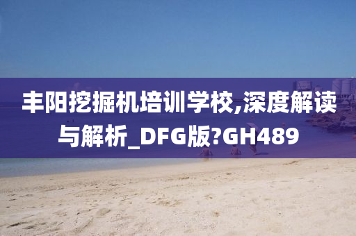 丰阳挖掘机培训学校,深度解读与解析_DFG版?GH489