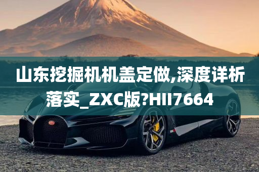 山东挖掘机机盖定做,深度详析落实_ZXC版?HII7664