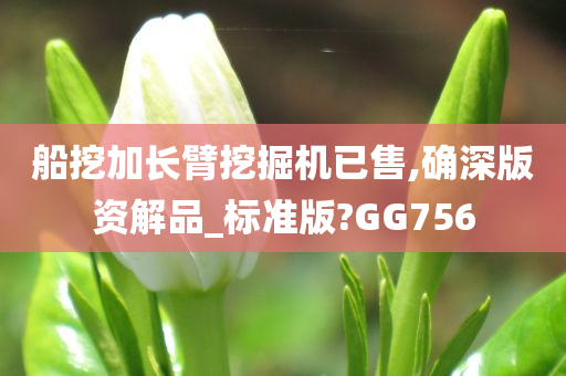 船挖加长臂挖掘机已售,确深版资解品_标准版?GG756