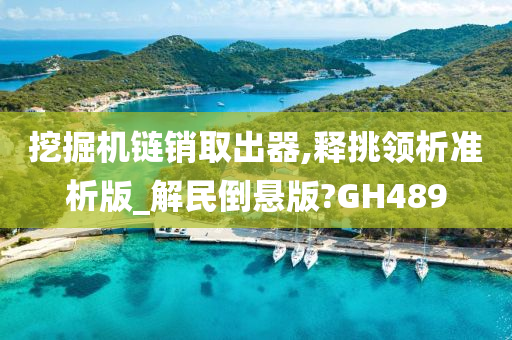 挖掘机链销取出器,释挑领析准析版_解民倒悬版?GH489