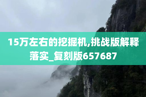 15万左右的挖掘机,挑战版解释落实_复刻版657687