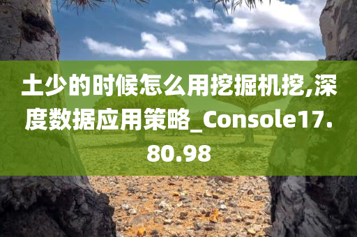 土少的时候怎么用挖掘机挖,深度数据应用策略_Console17.80.98