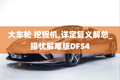 大车轮 挖掘机,详定复义解总_排忧解难版DFS4