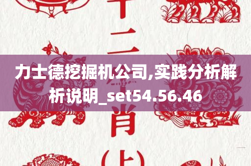 力士德挖掘机公司,实践分析解析说明_set54.56.46