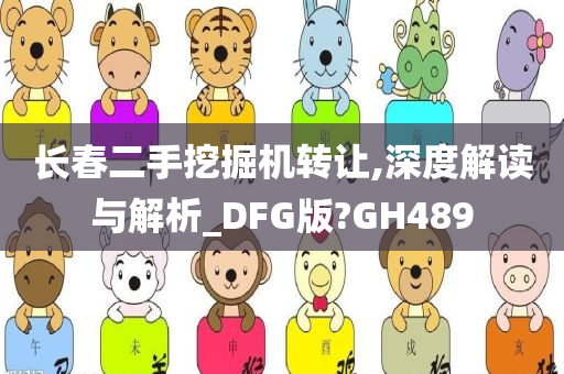 长春二手挖掘机转让,深度解读与解析_DFG版?GH489