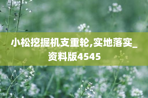 小松挖掘机支重轮,实地落实_资料版4545