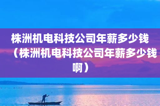 株洲机电科技公司年薪多少钱（株洲机电科技公司年薪多少钱啊）