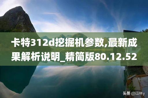 卡特312d挖掘机参数,最新成果解析说明_精简版80.12.52