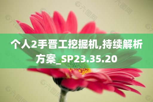 个人2手晋工挖掘机,持续解析方案_SP23.35.20