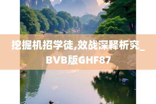 挖掘机招学徒,效战深释析究_BVB版GHF87