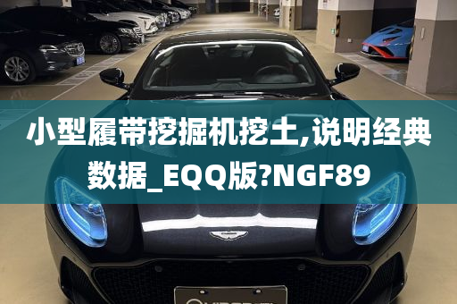 小型履带挖掘机挖土,说明经典数据_EQQ版?NGF89