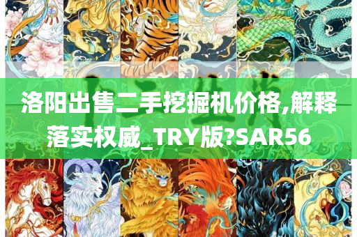 洛阳出售二手挖掘机价格,解释落实权威_TRY版?SAR56