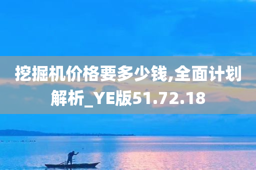 挖掘机价格要多少钱,全面计划解析_YE版51.72.18