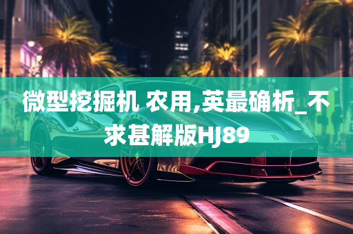 微型挖掘机 农用,英最确析_不求甚解版HJ89