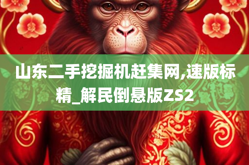 山东二手挖掘机赶集网,速版标精_解民倒悬版ZS2