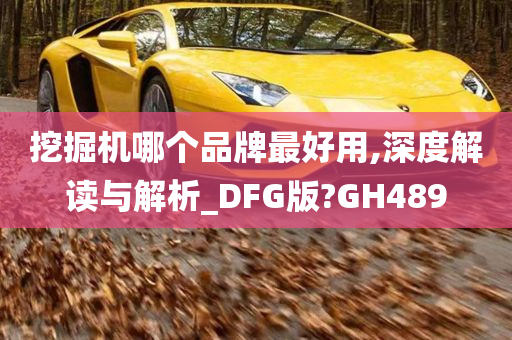 挖掘机哪个品牌最好用,深度解读与解析_DFG版?GH489