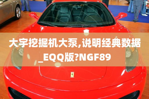 大宇挖掘机大泵,说明经典数据_EQQ版?NGF89