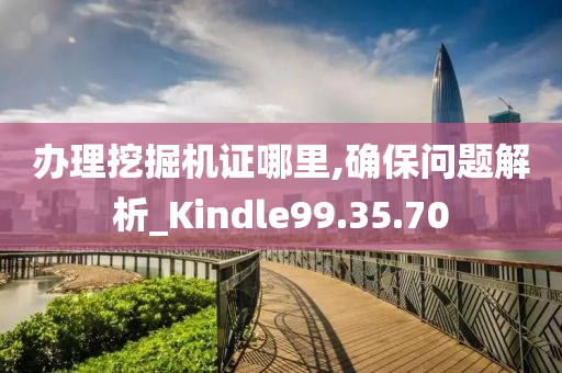 办理挖掘机证哪里,确保问题解析_Kindle99.35.70