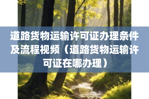 道路货物运输许可证办理条件及流程视频（道路货物运输许可证在哪办理）