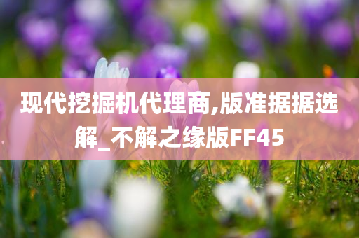 现代挖掘机代理商,版准据据选解_不解之缘版FF45