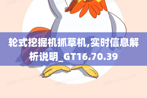 轮式挖掘机抓草机,实时信息解析说明_GT16.70.39