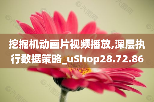 挖掘机动画片视频播放,深层执行数据策略_uShop28.72.86