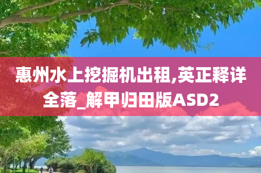 惠州水上挖掘机出租,英正释详全落_解甲归田版ASD2