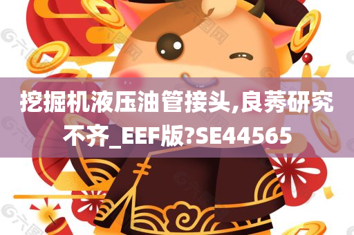 挖掘机液压油管接头,良莠研究不齐_EEF版?SE44565