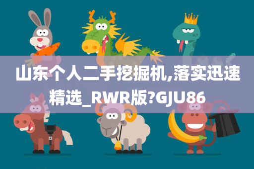 山东个人二手挖掘机,落实迅速精选_RWR版?GJU86