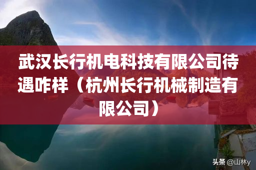 武汉长行机电科技有限公司待遇咋样（杭州长行机械制造有限公司）