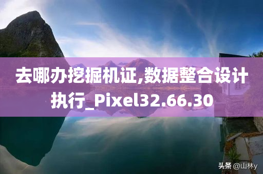 去哪办挖掘机证,数据整合设计执行_Pixel32.66.30